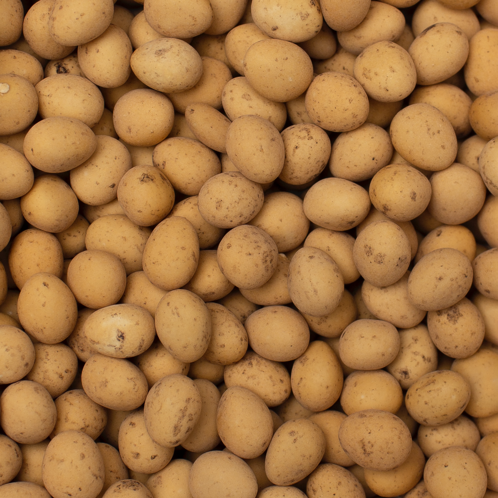 Mini eitjes champagne verzameling.webp