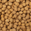 Mini eitjes champagne verzameling.webp
