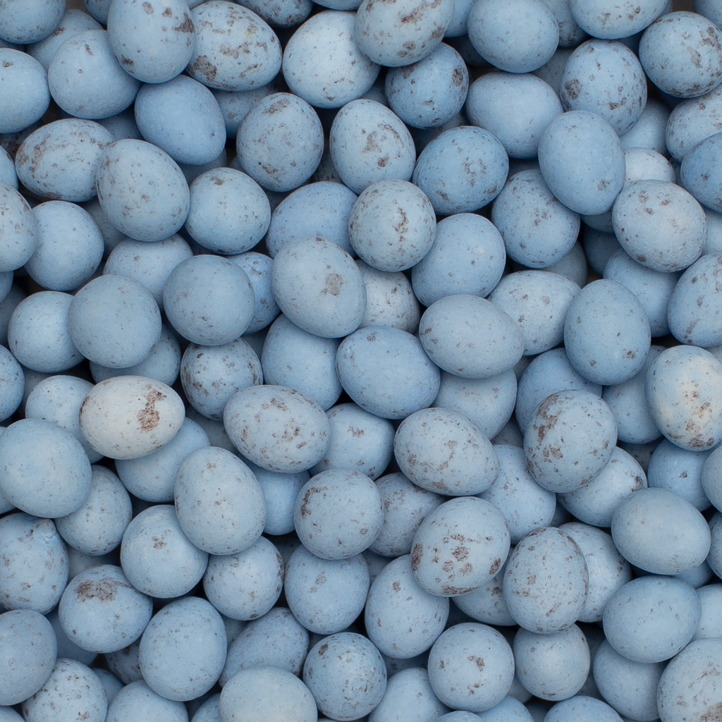 Mini eitjes blauw verzameling.webp