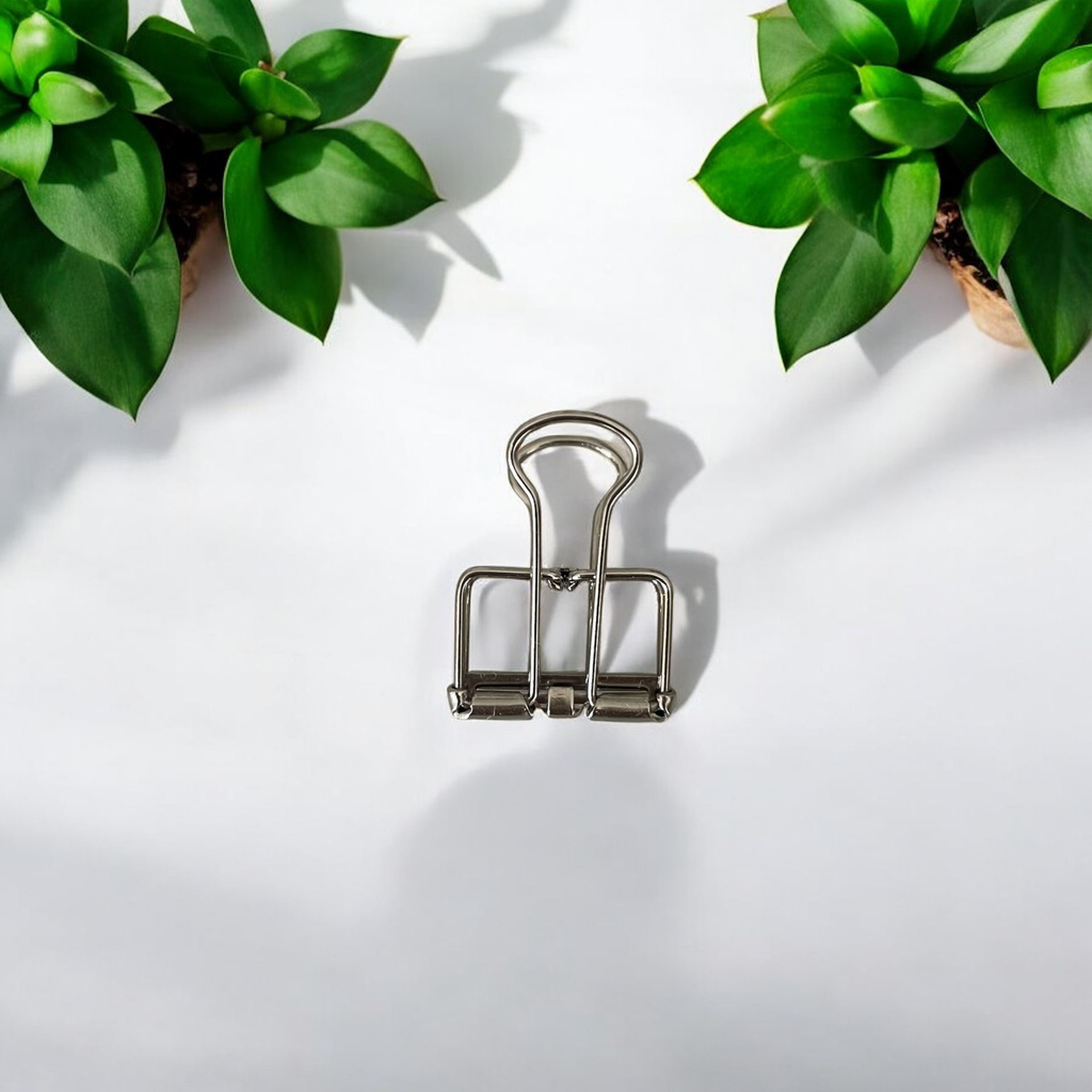 Knijper zilver 2.webp
