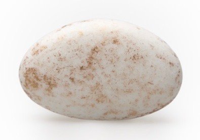 Suikerbonen (marbré goud)