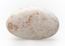 Suikerbonen (marbré goud)