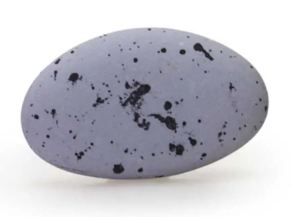 Suikerbonen (picasso grijs)