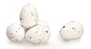  Kievitseitjes (wit)