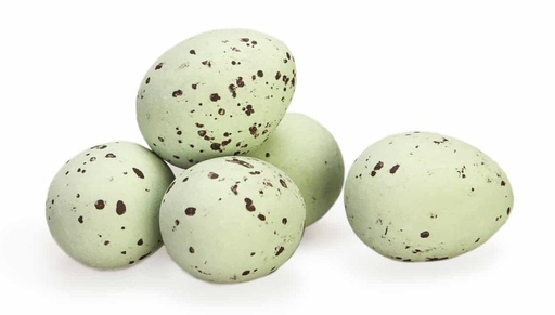   Kievitseitjes (groen)