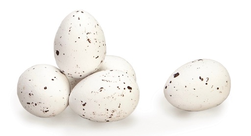  Kievitseitjes (wit)